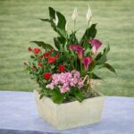 Love You More Blooming Garden